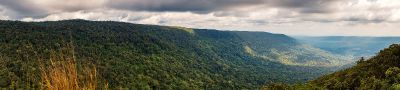 Khao Yai NP