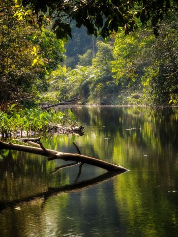 Khao Yai National Park