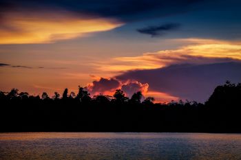 Abendstimmung am Kinabatangan River, Borneo
