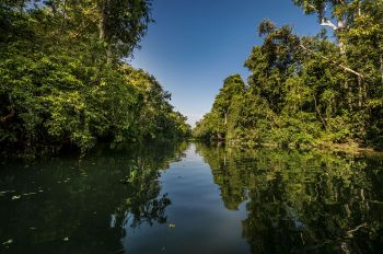 Kinabatangan River, Borneo