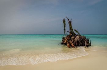 Mantanani Island, Borneo