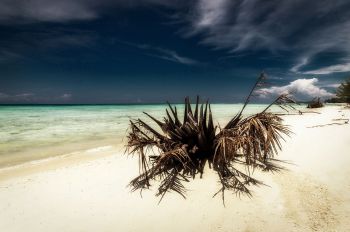 Mantanani Island, Borneo