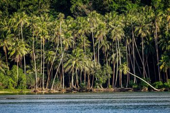 Mantanani Island, Borneo