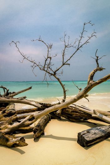 Mantanani Island, Borneo