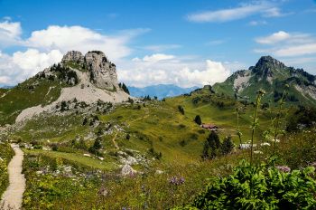 Alpengarten, Schynige Platte