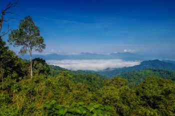 Sea Of Fog, Kaeng Krachan NP