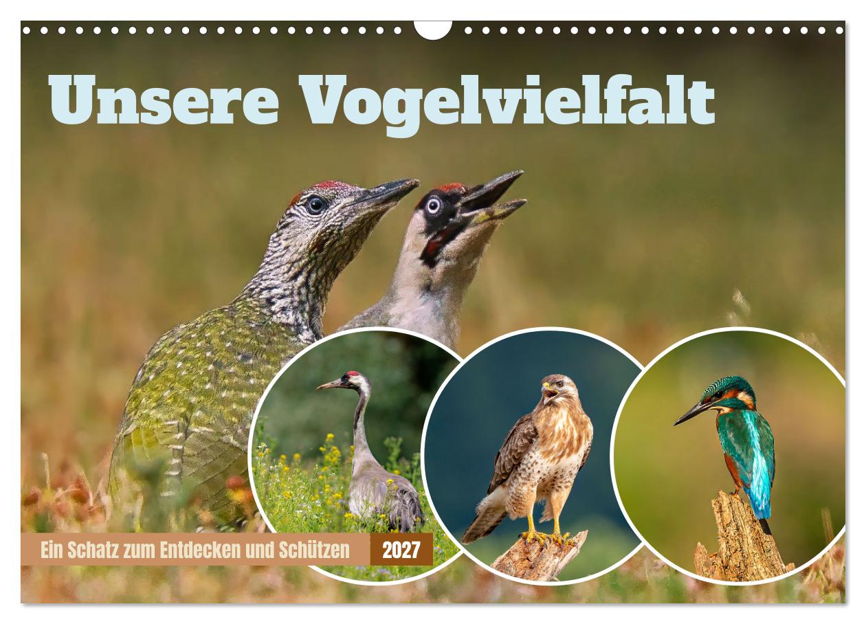 Kalender: Unsere Vogelvielfalt