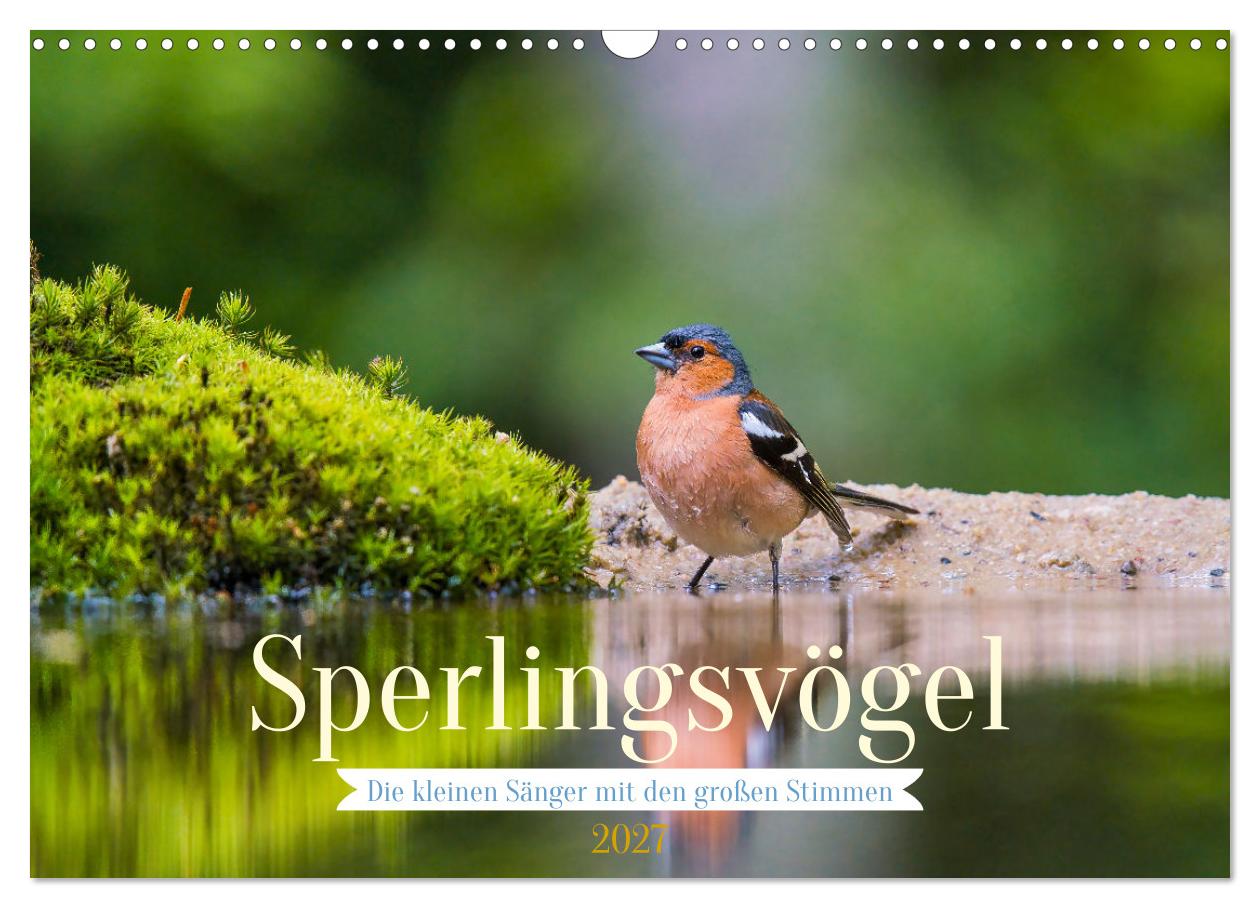 Kalender: Sperlingsvögel