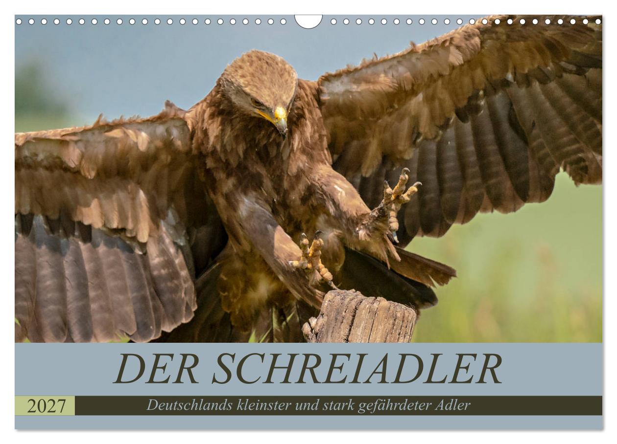 Kalender: Der Schreiadler