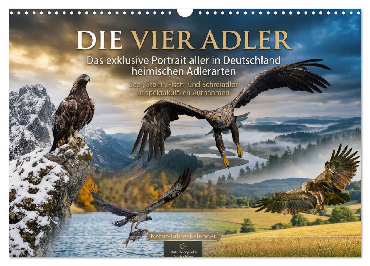Kalender: Die vier Adler