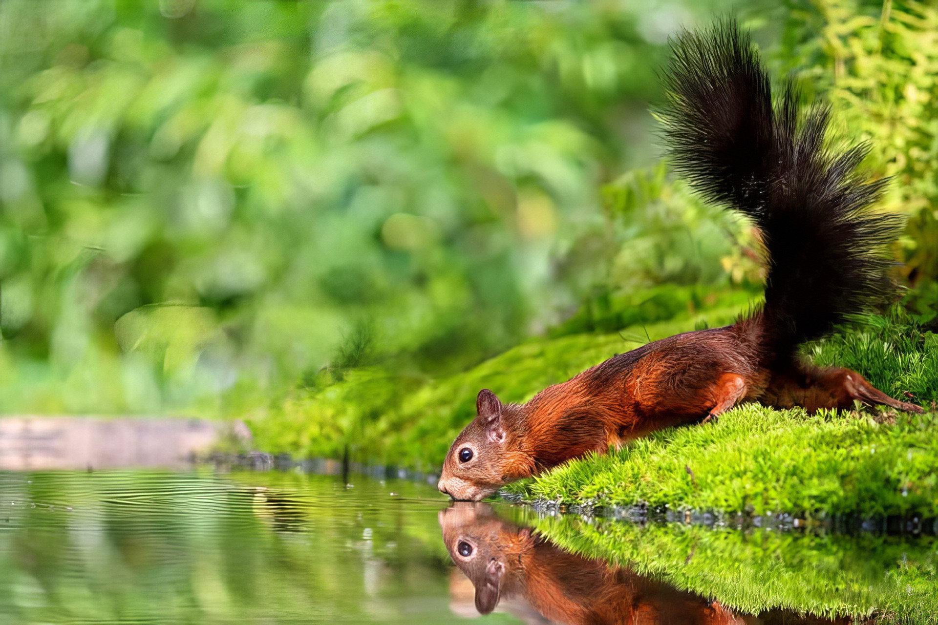 Noch mehr Wildlife...