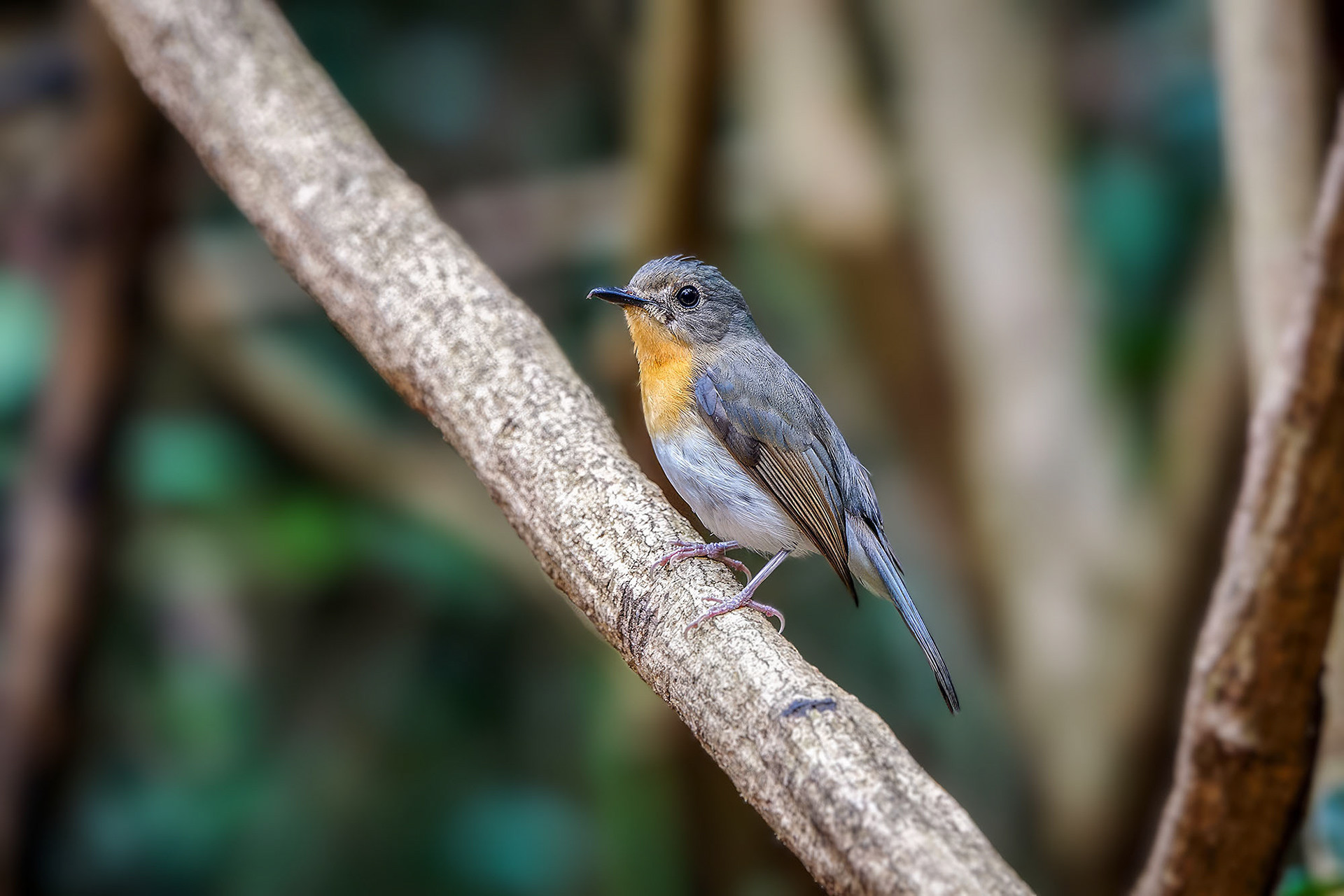 female