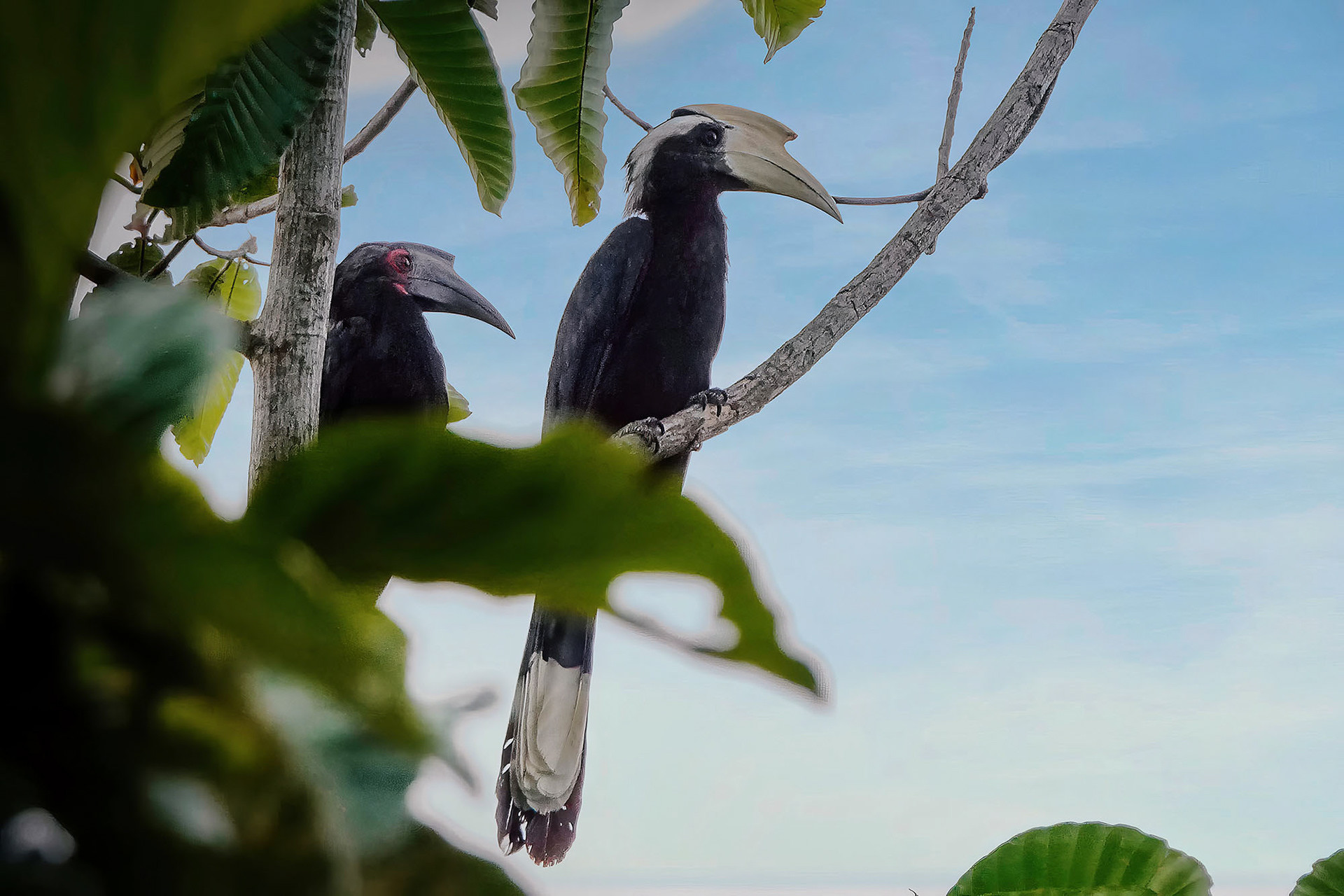 male & female