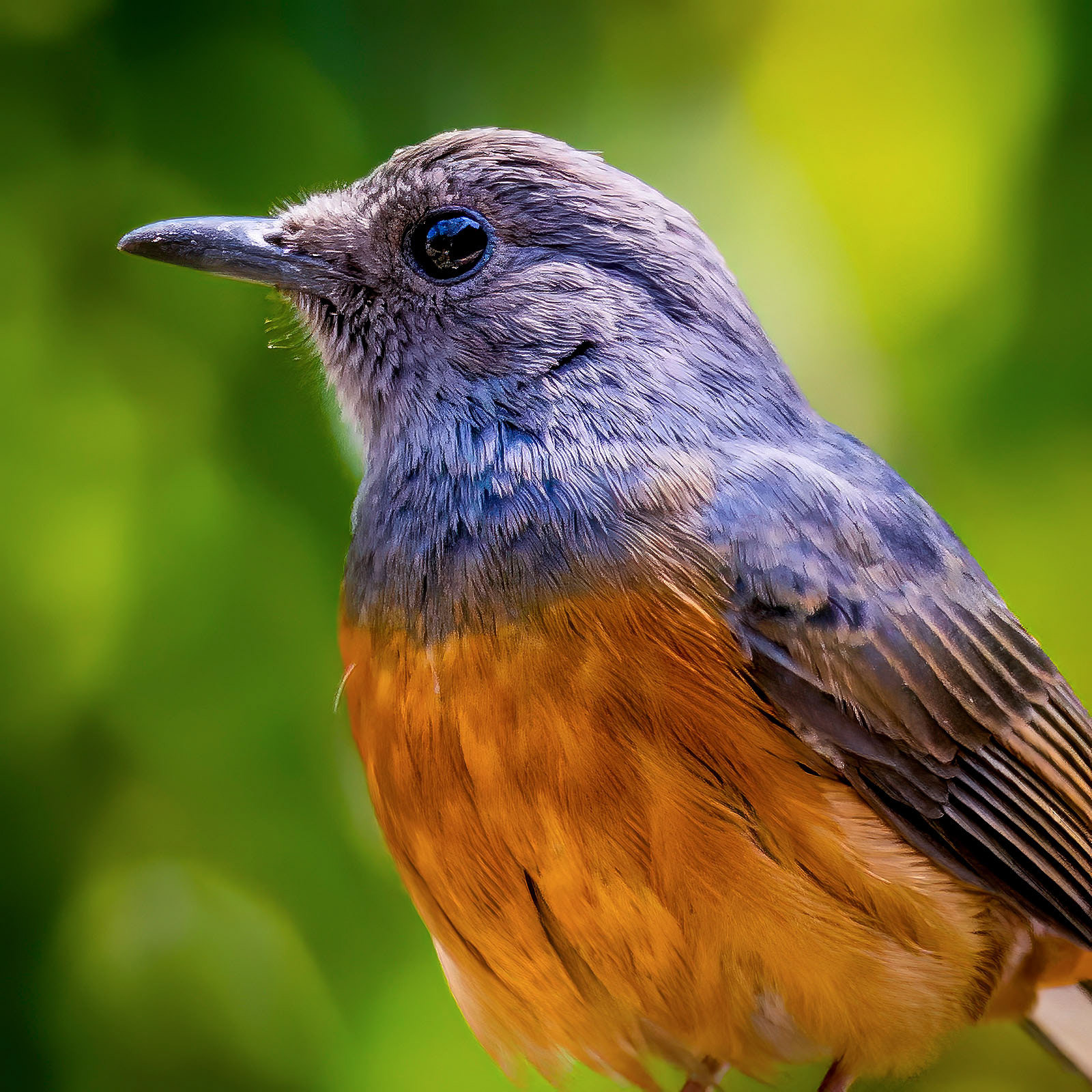 female