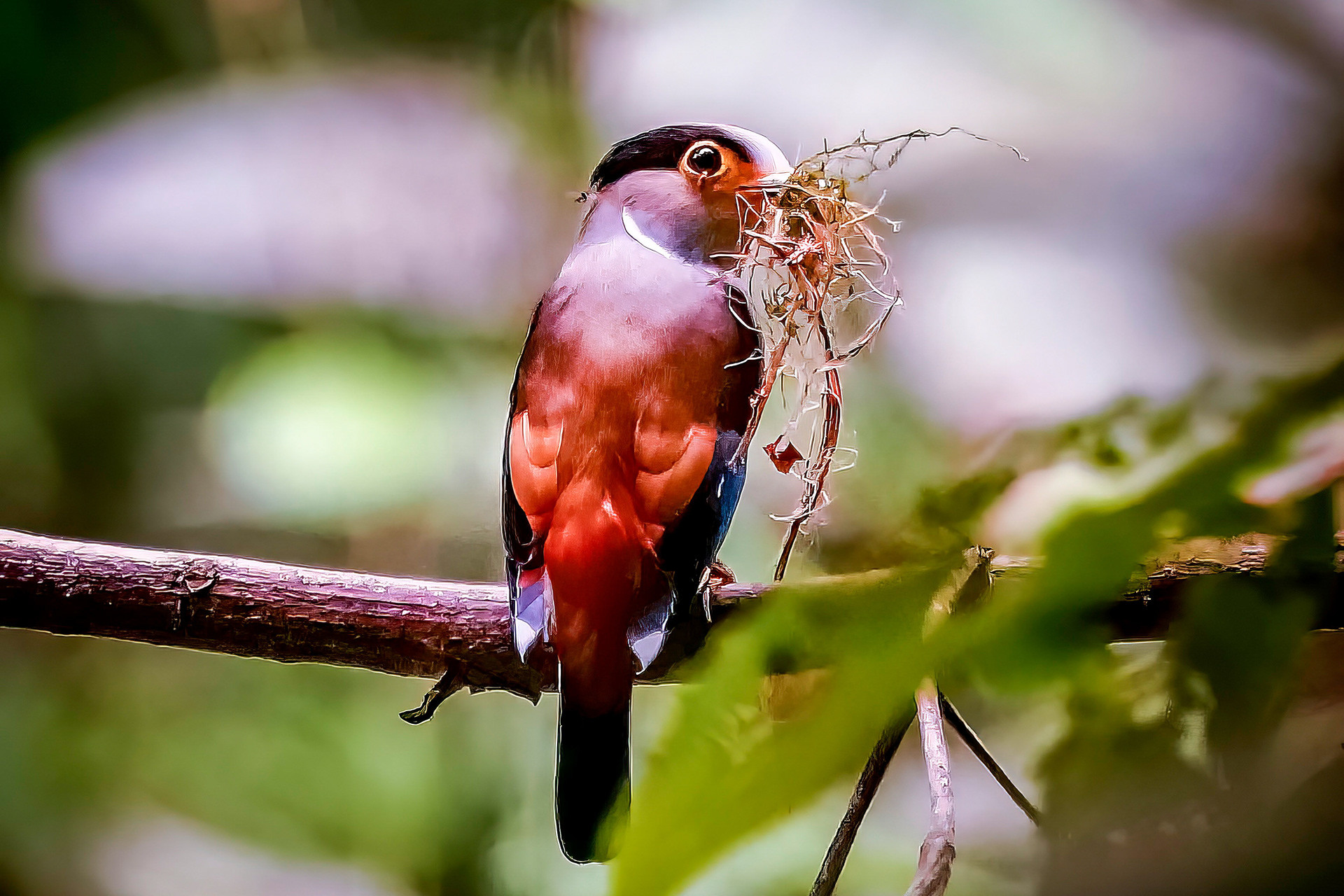 female